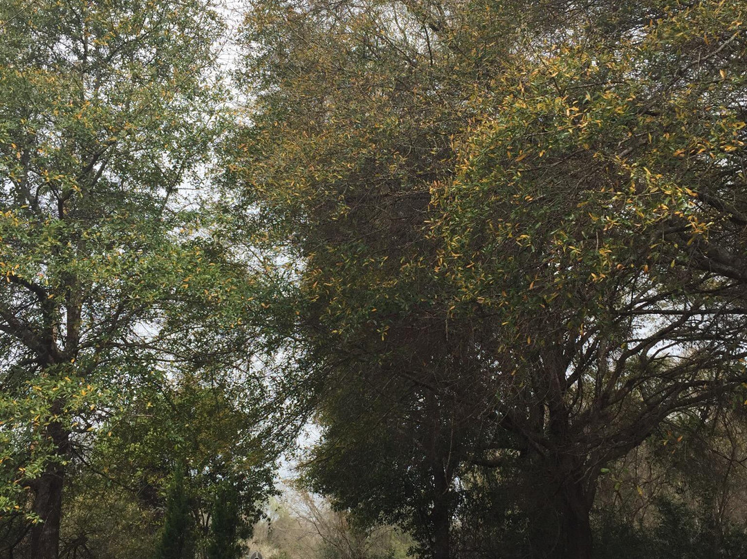 Oxbow Meadows Environmental Learning Center-哥伦布必去景点