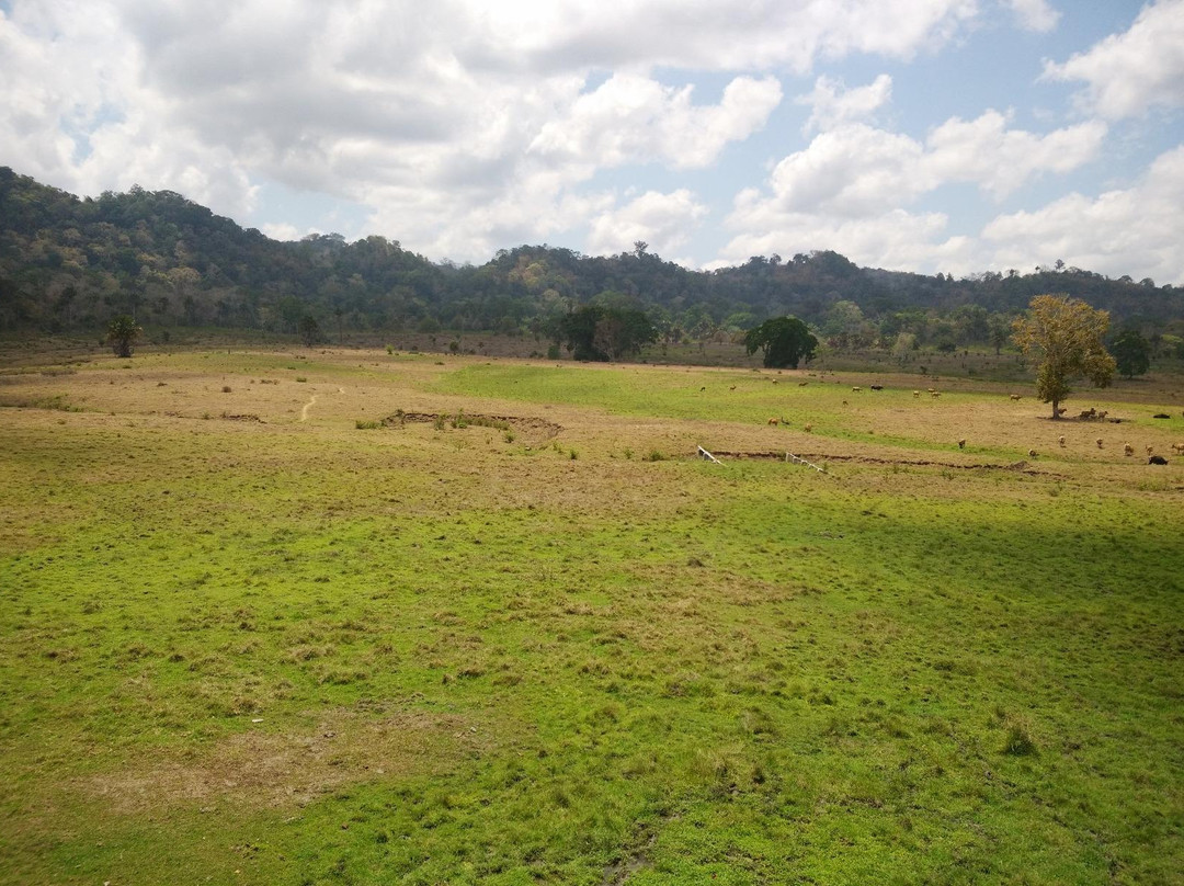 Sadengan Savannah-巴纽旺宣必去景点