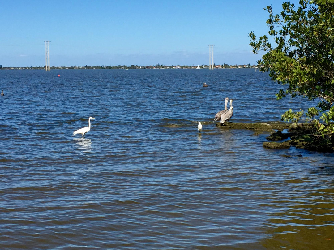 Castaways Point Park景点图片