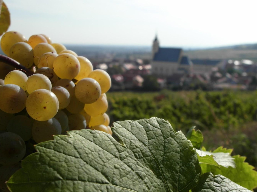 Private Wine Tour