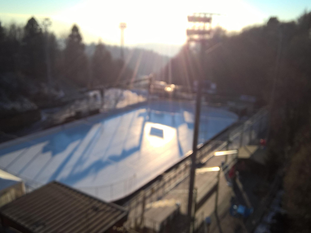 Palaghiaccio di Bosco Chiesanuova景点图片
