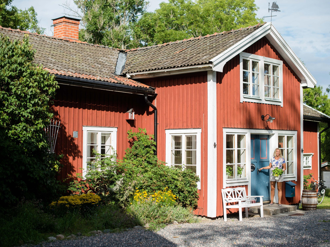 Folk Och fä