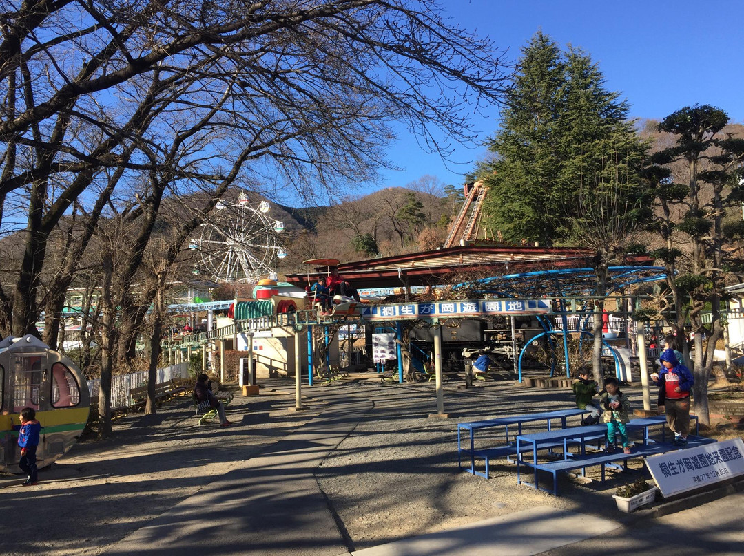 Kiryugaoka Amusement Park景点图片