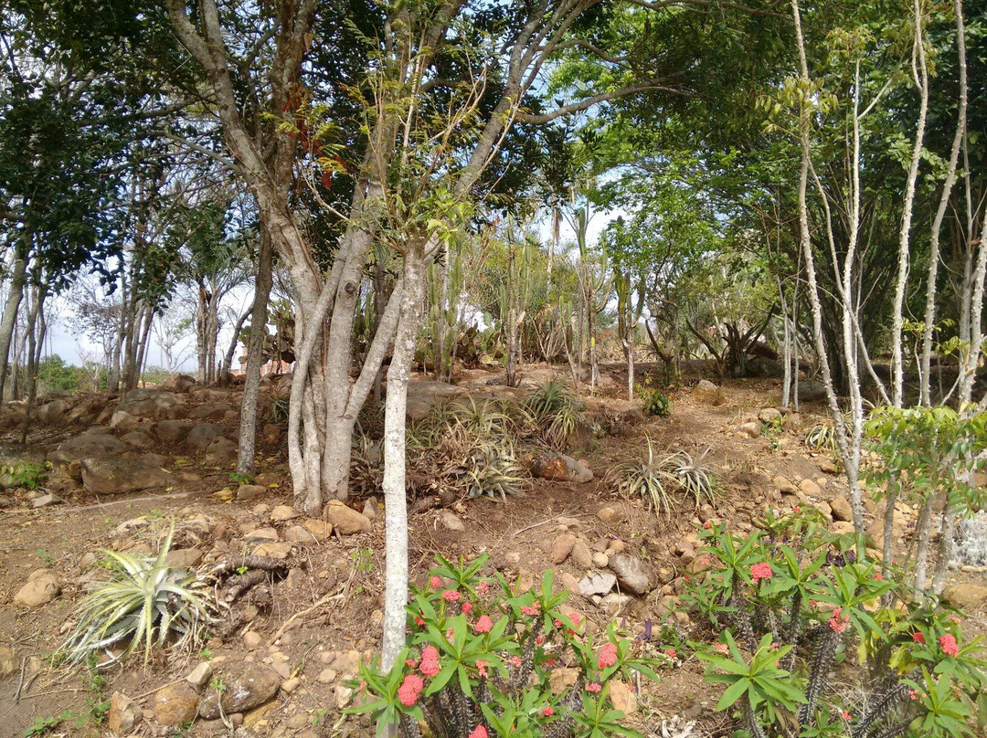 Pousada Calugi主图