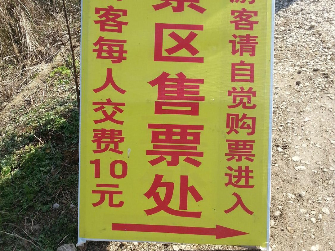 海洋银杏林田园-灵川县必去景点