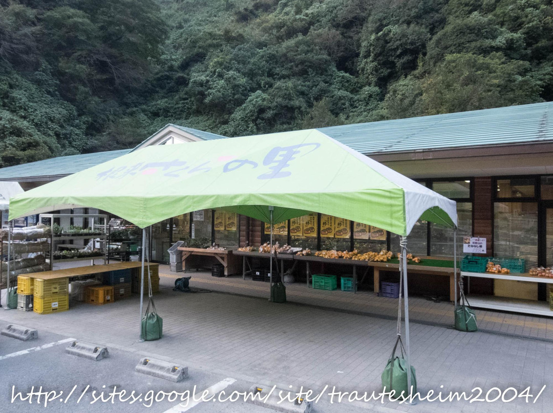 Michi no Eki Negoro Sakuranosato-岩出市必去景点