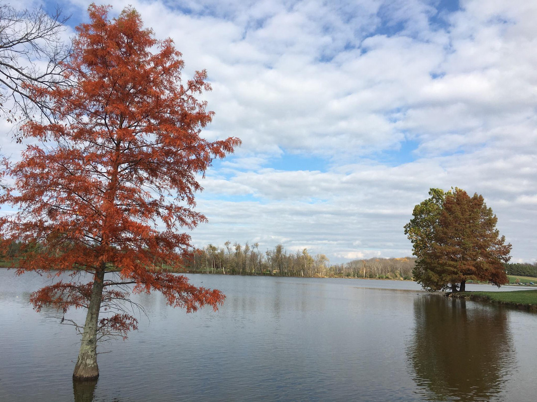 Jacobson Park-列克星敦必去景点