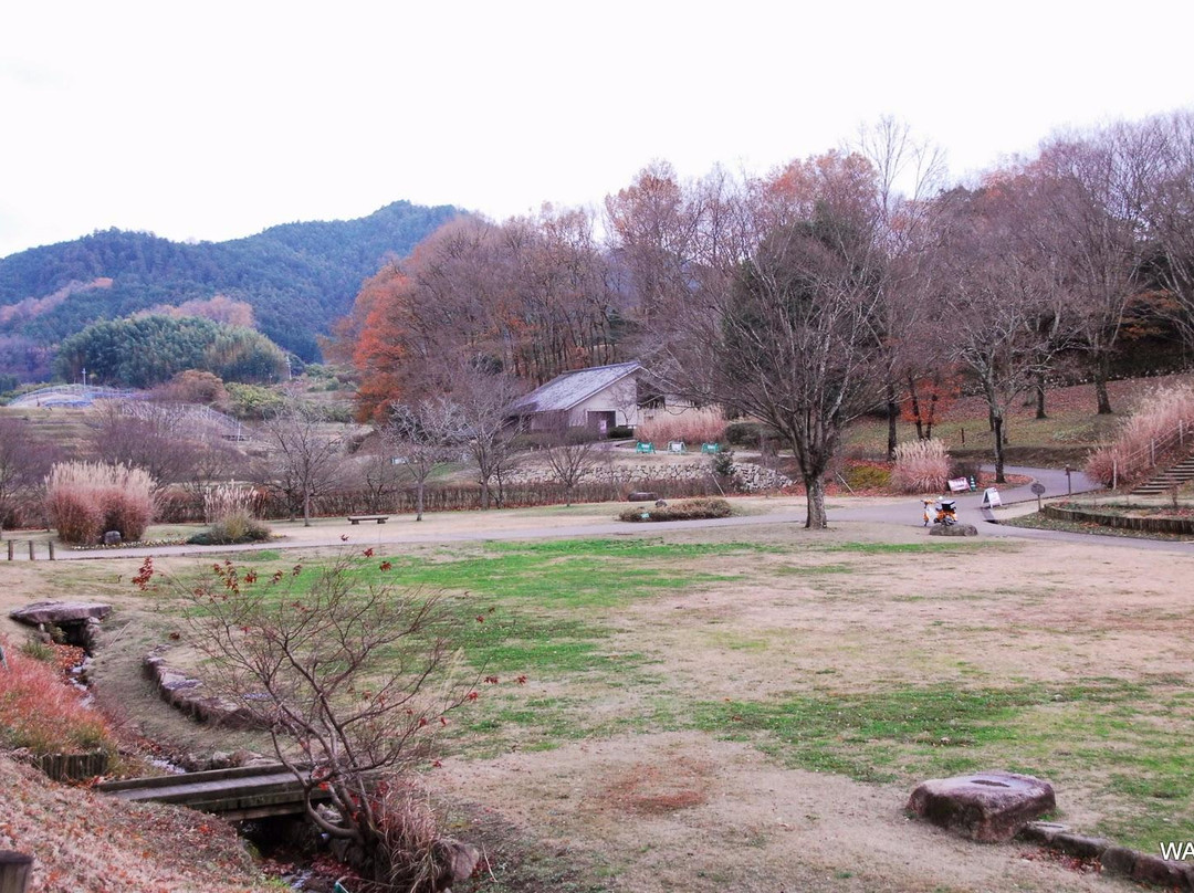 Asuka Historic National Govermment Park Hall景点图片