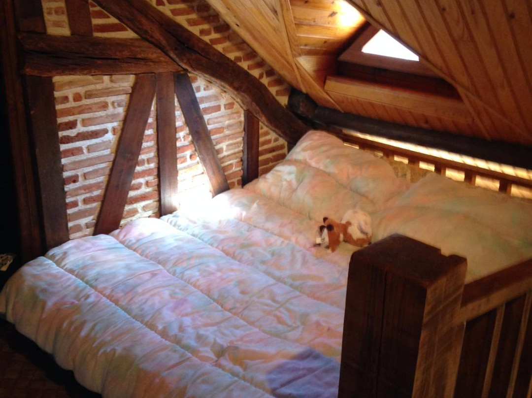 Chambres d'hotes Chatres-Sur-Cher主图
