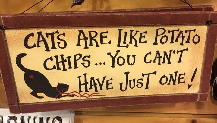 Williamsburg General Store-威廉斯堡必去景点