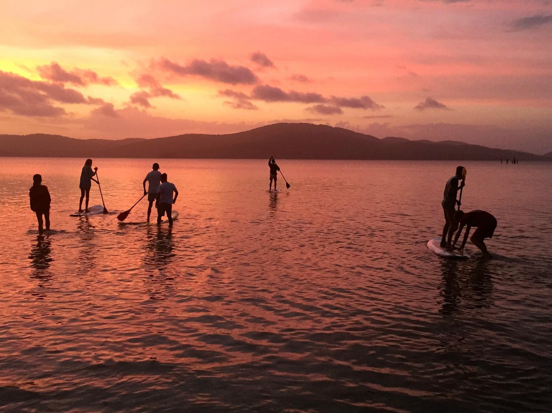 Waves Surf School-悉尼必去景点