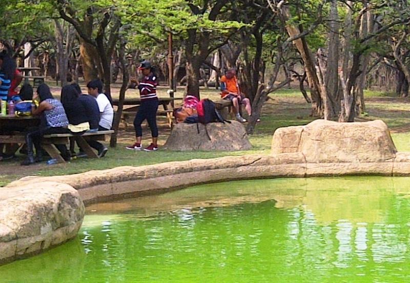 Tala Private Game Reserve-彼得马里茨堡必去景点