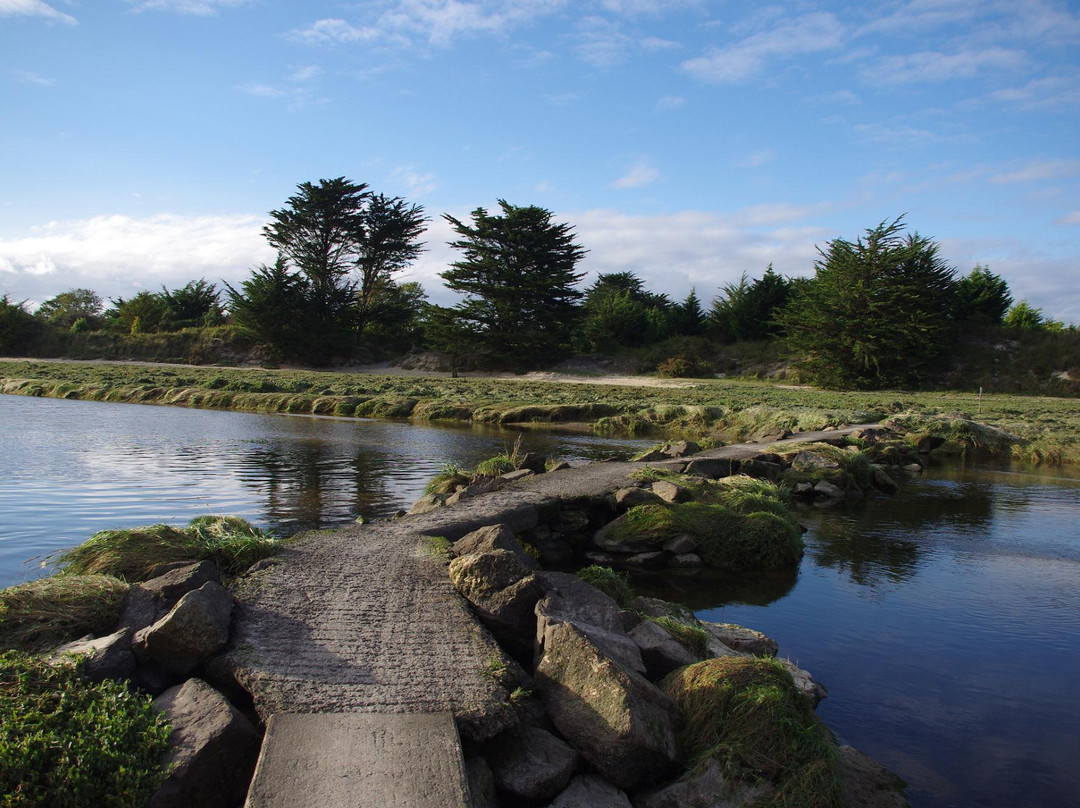 Camping Municipal des Dunes