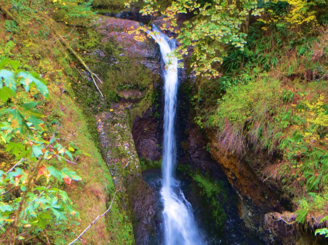 Butte Creek Falls-Scotts Mills必去景点