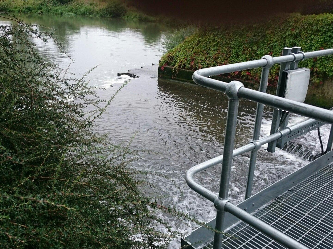 Buscot Weir-Buscot必去景点