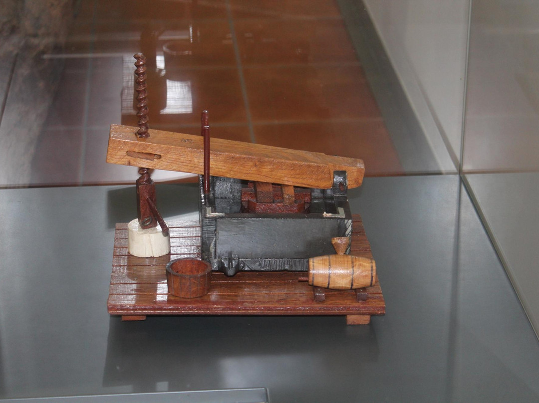 Museu Do Vinho Da Bairrada景点图片