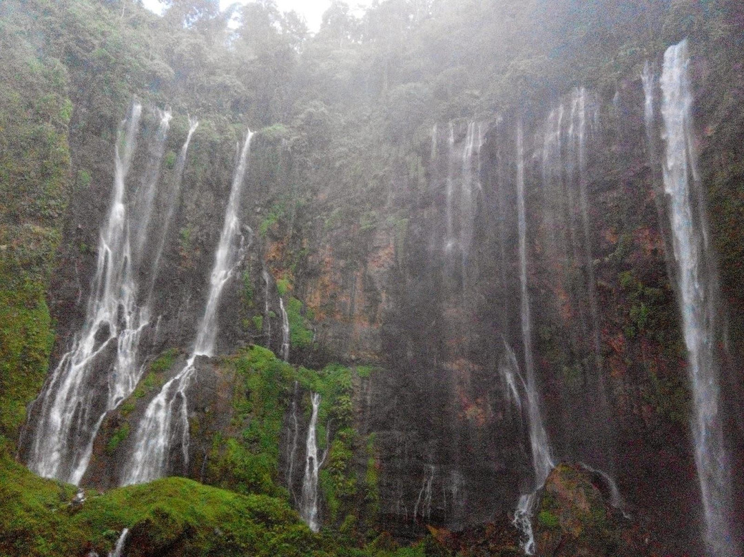 Tumpak Sewu Waterfall-Lumajang必去景点