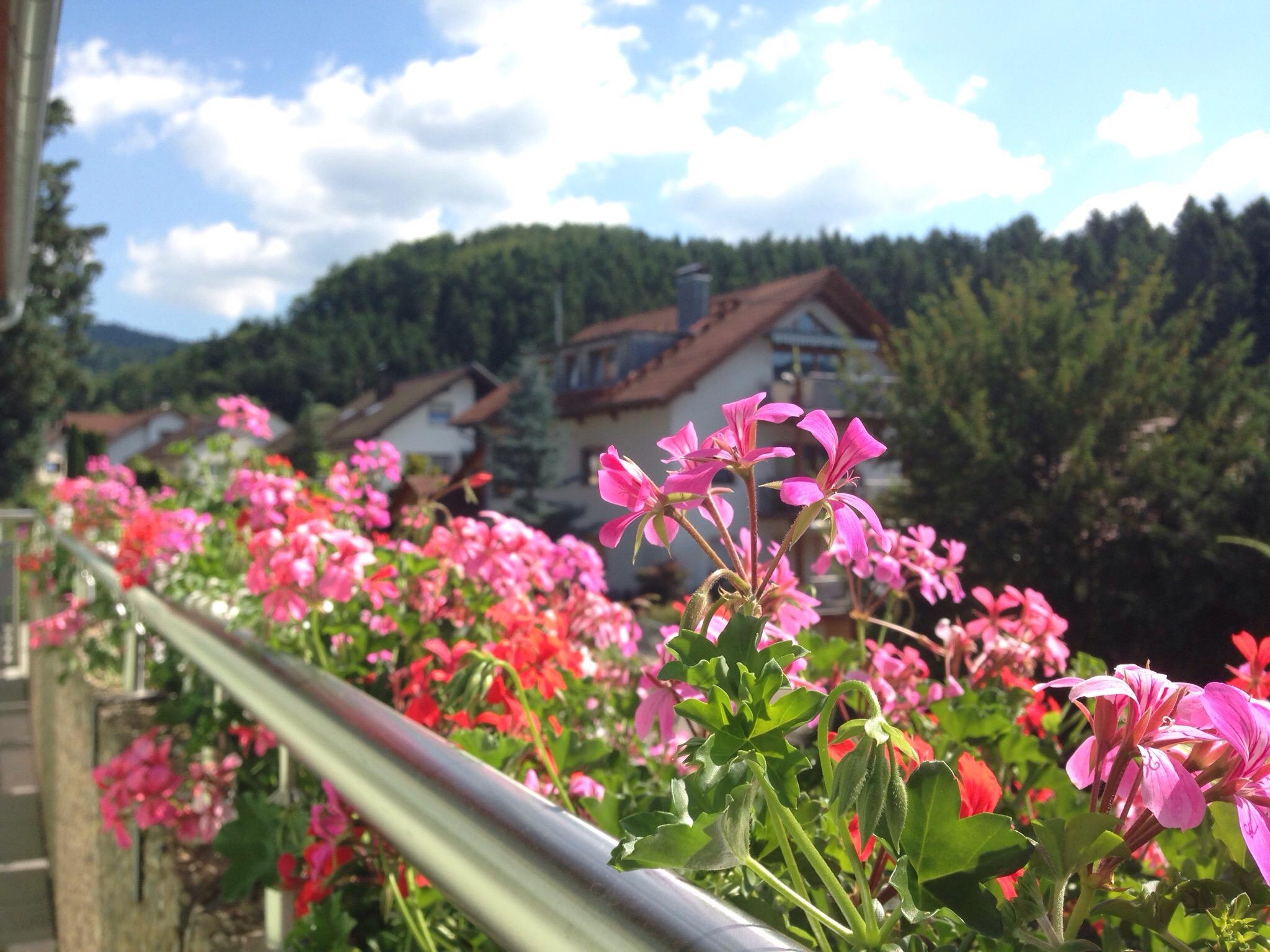 Haus Gerlinde-客卧