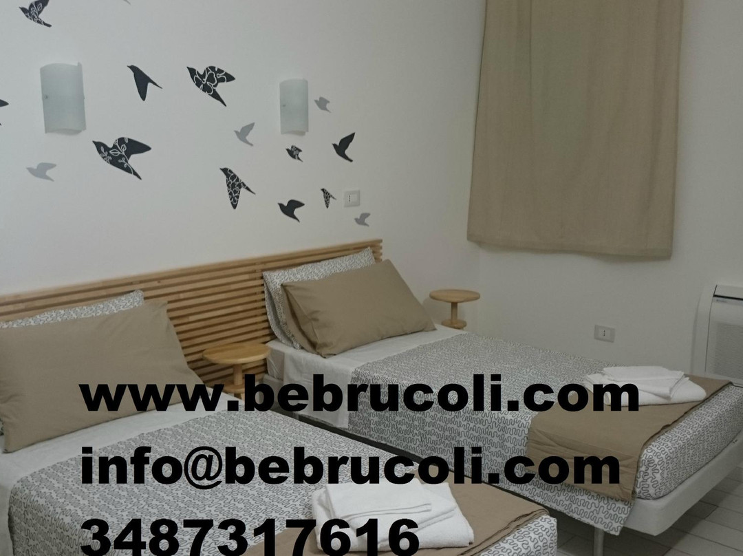 B&Brucoli主图