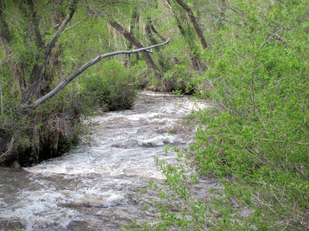 Humboldt National Forest-埃尔科必去景点
