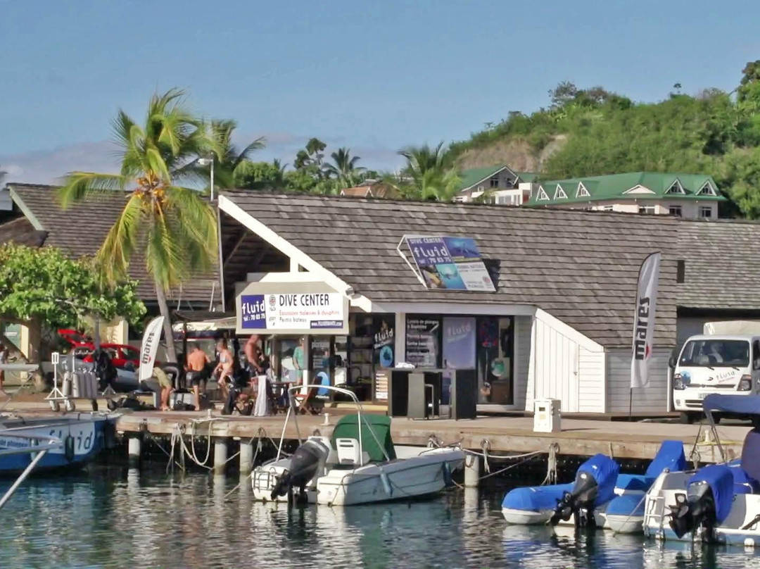 Fluid Tahiti Dive Center景点图片
