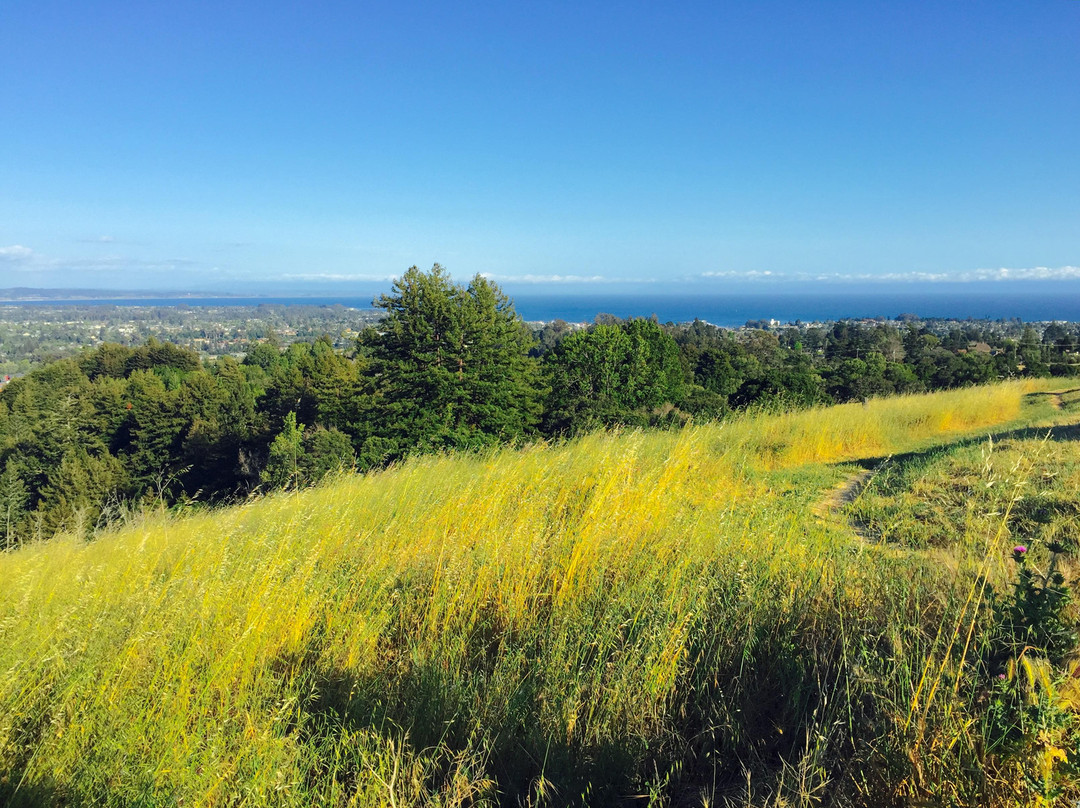 University of California at Santa Cruz-圣克鲁斯必去景点