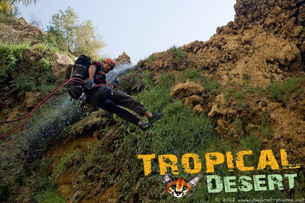 Tropical Desert-安曼必去景点