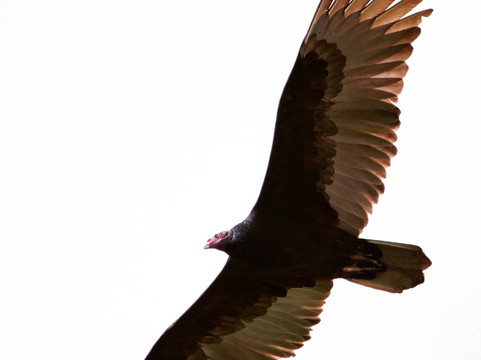 Tualatin River National Wildlife Refuge-Sherwood必去景点