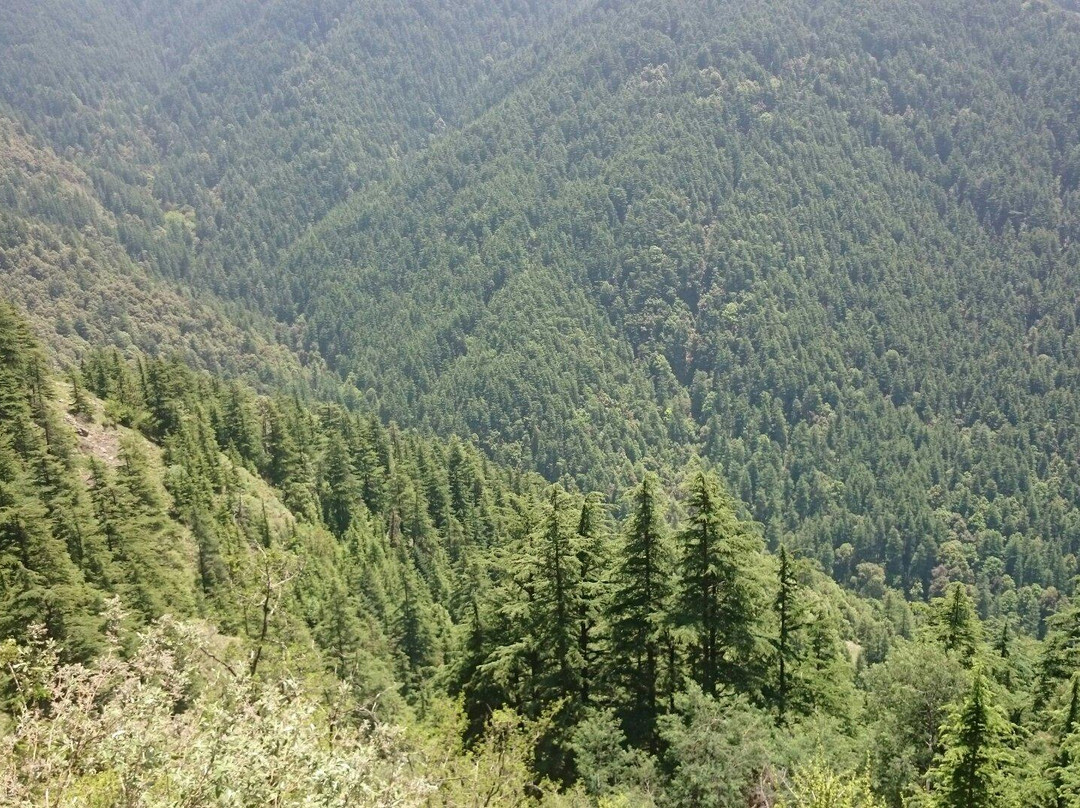 Green Valley景点图片