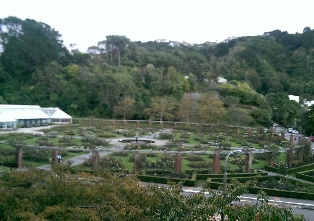 Lady Norwood Rose Garden景点图片