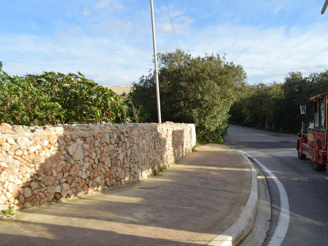 Magic Train Ride-姆迪纳必去景点