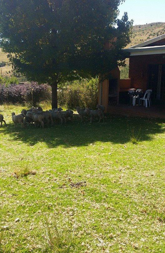 Balele Mountain Lodge