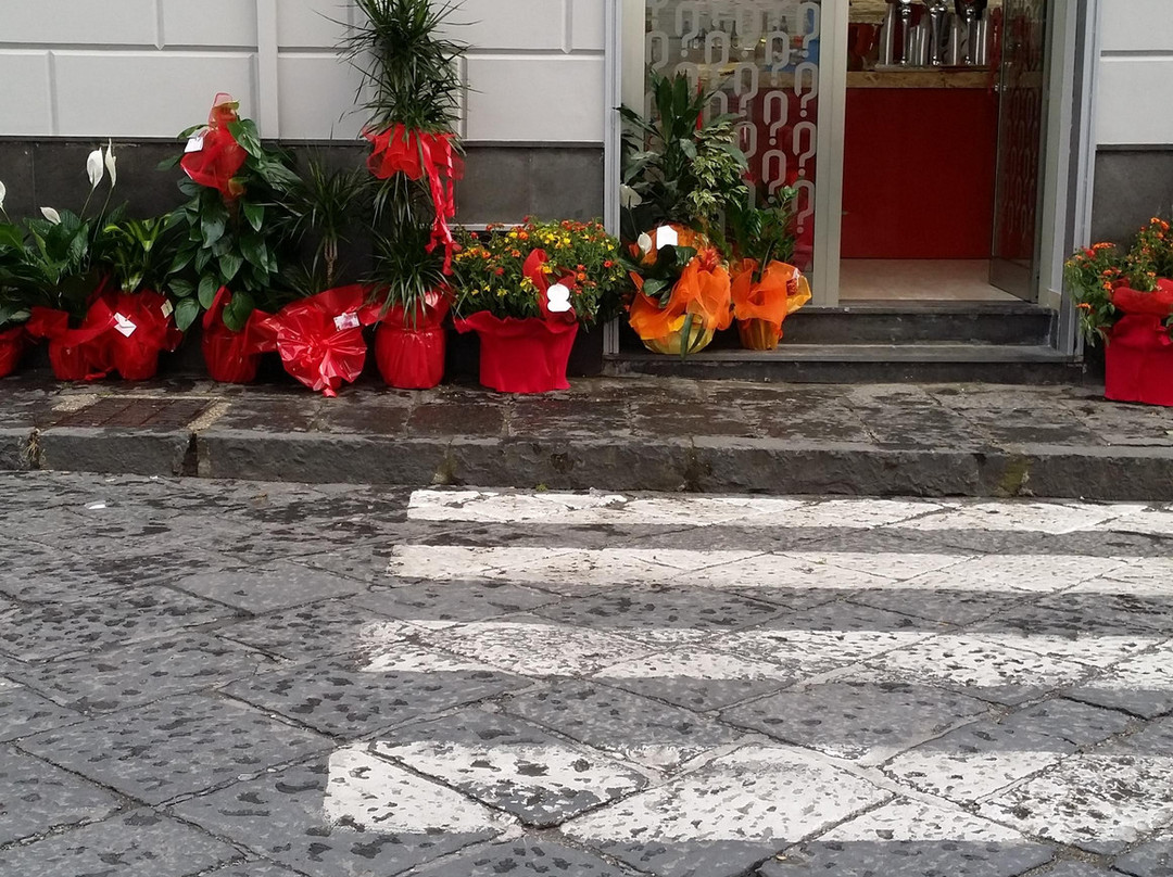 Palma Campania旅游攻略图片