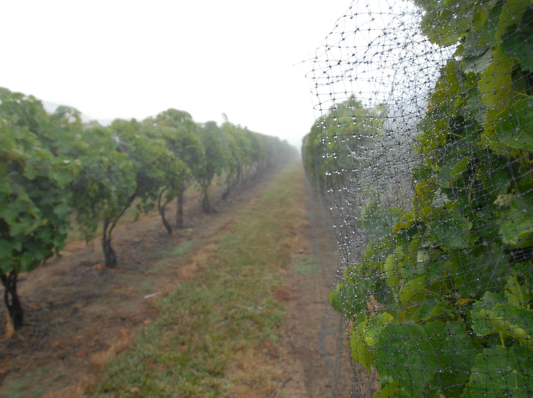 沃伦县旅游攻略图片