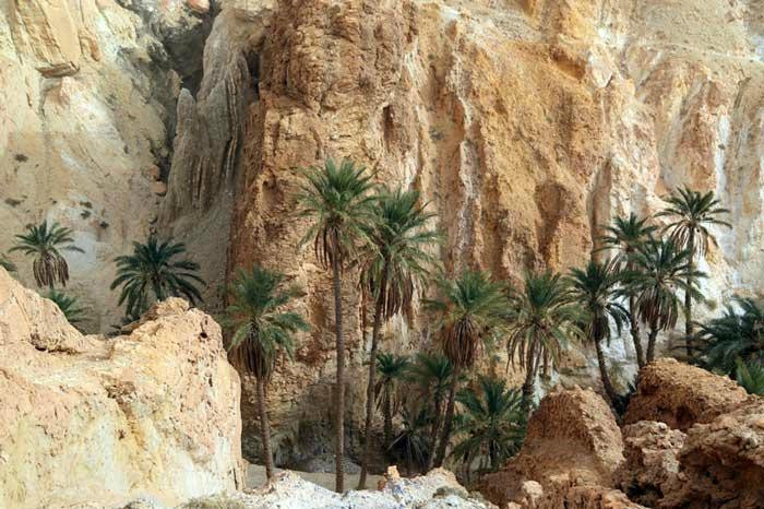 Sidi Bouhlel Canyon景点图片