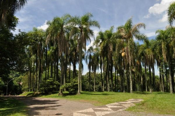 Parque das Palmeiras景点图片