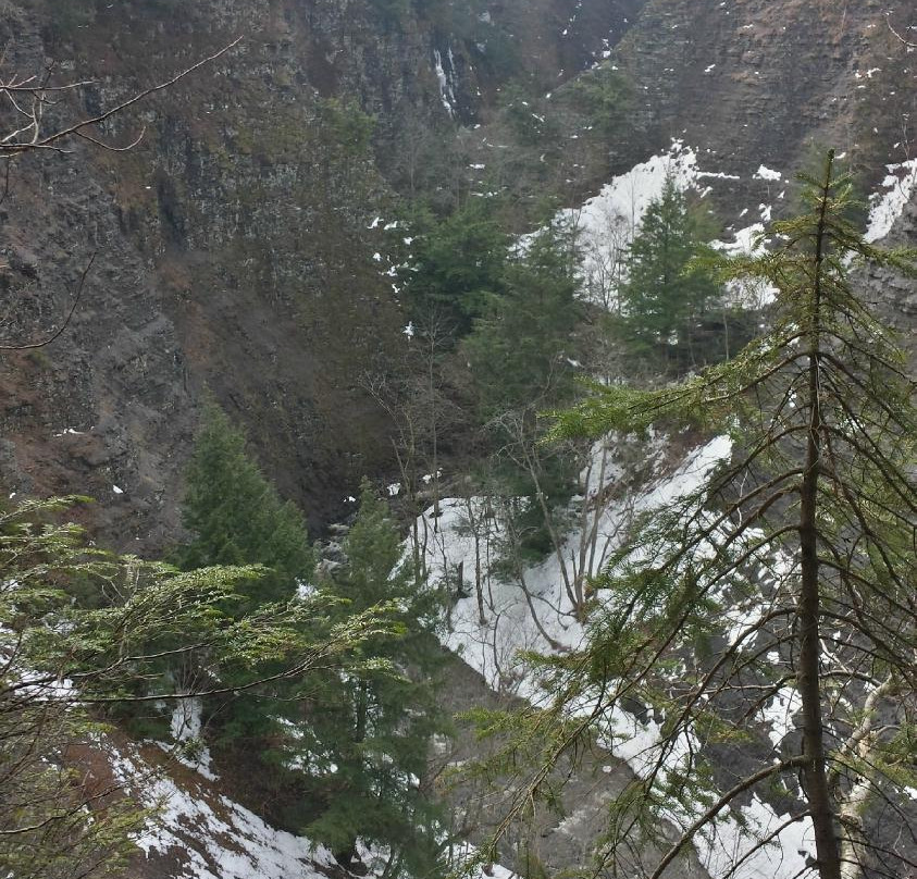 Whetstone Gulf State Park-Lowville必去景点