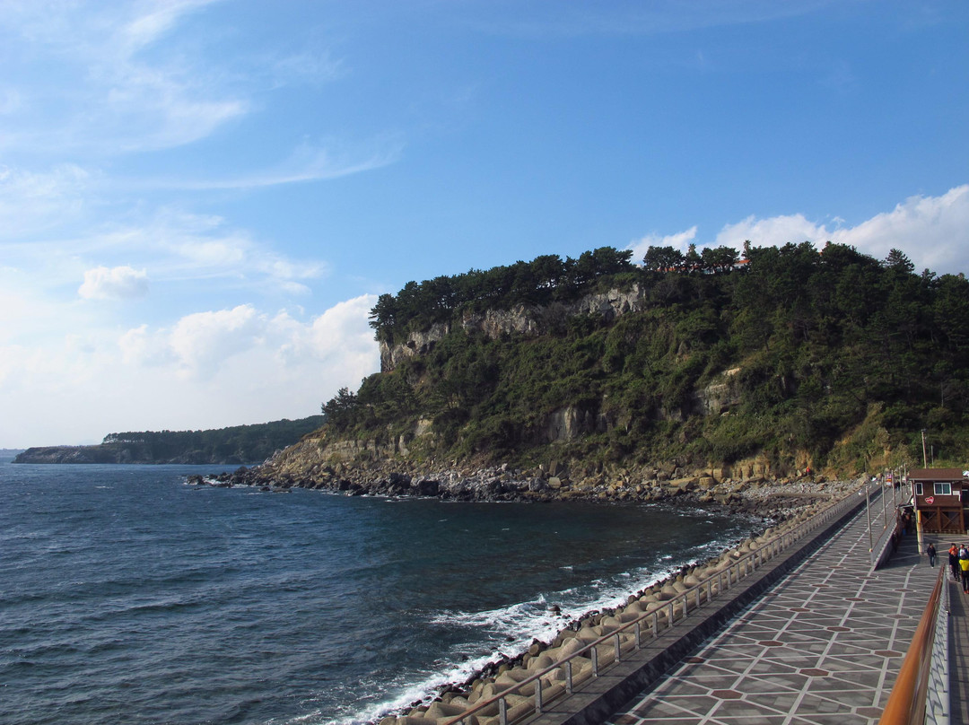 Saeyeongyo Bridge-西归浦市必去景点