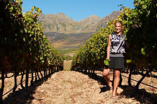 Camino Wine Tours-斯泰伦博斯必去景点