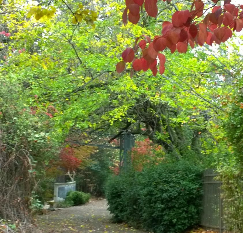 Sacramento River Trail景点图片