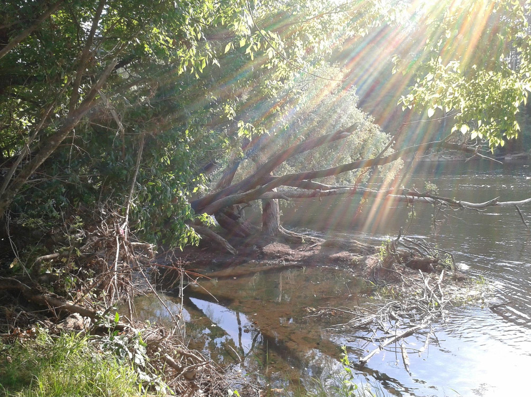 Parc du restaurant Le Vieux Chêne-Montvalent必去景点