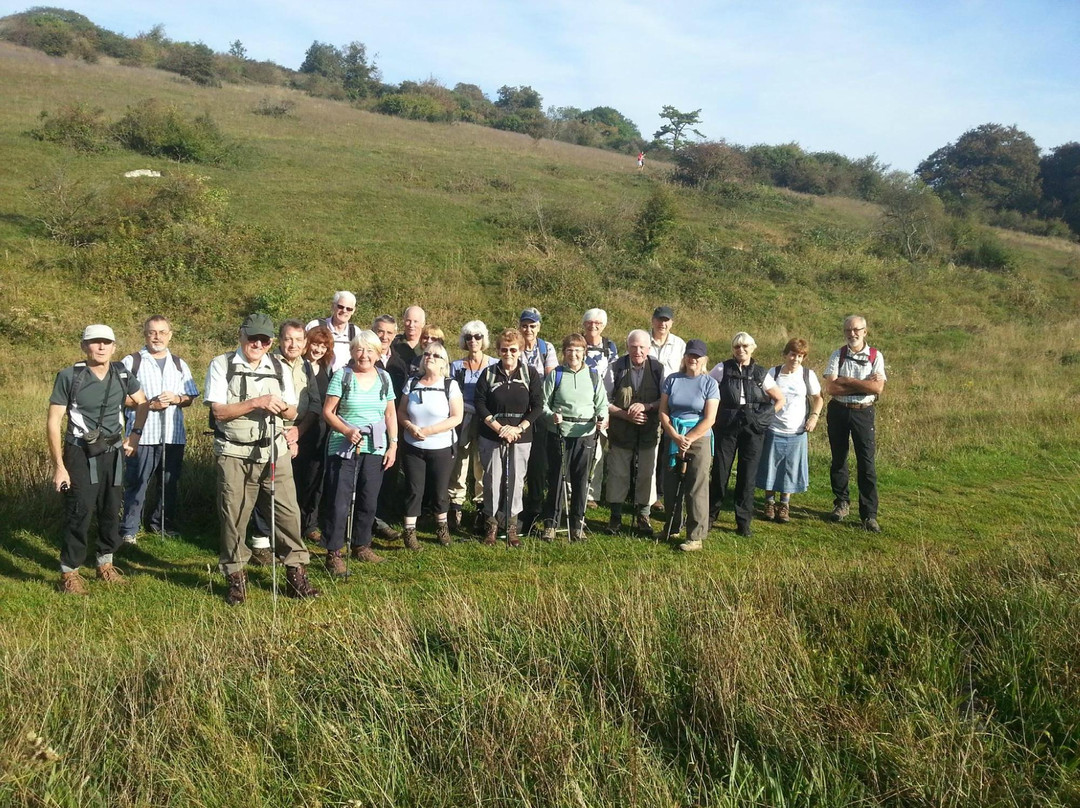 Fuzzacker Guided Walks and Tours-利明顿必去景点