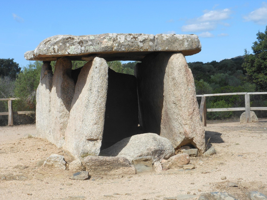 Megaliths of Cauria景点图片