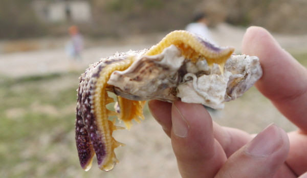 长岛仙境源民俗风情公园-长岛县必去景点