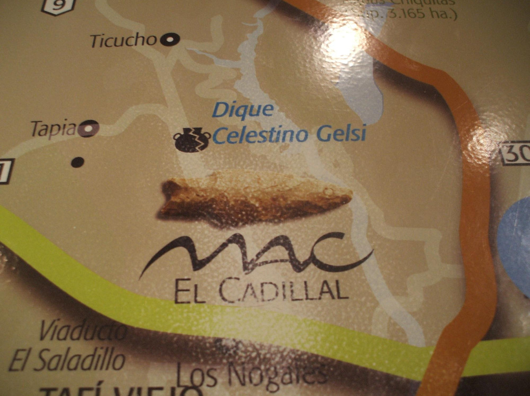 Museo Arqueologico Dr. Ernesto Padilla-Cadillal必去景点