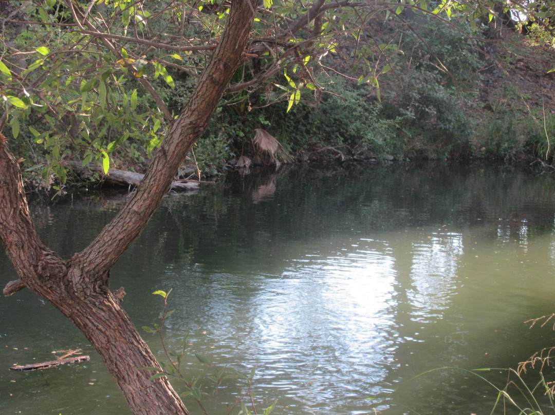 Anderson Lake County Park-圣克拉拉必去景点