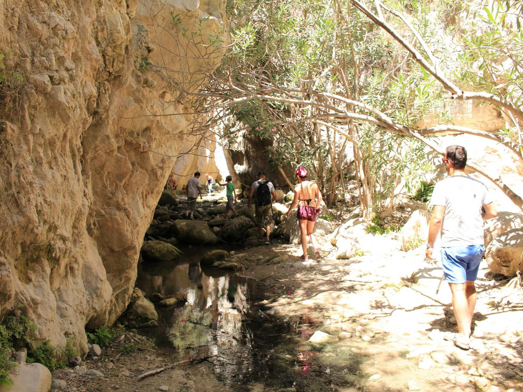 Discover Cyprus Day Tours-利马索尔必去景点