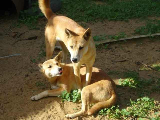 Waminda Wildlife Sanctuary-杰拉尔顿必去景点
