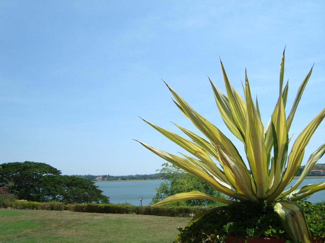 Paoay Lake National Park景点图片