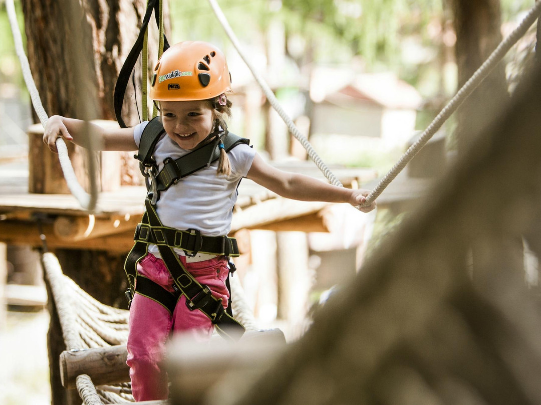 Adventurepark Enzwaldile景点图片